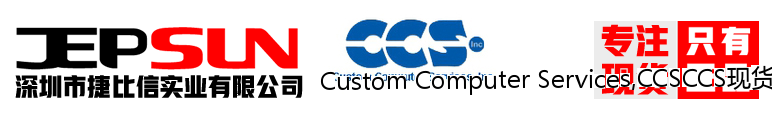 Custom Computer Services,CCSCCS现货